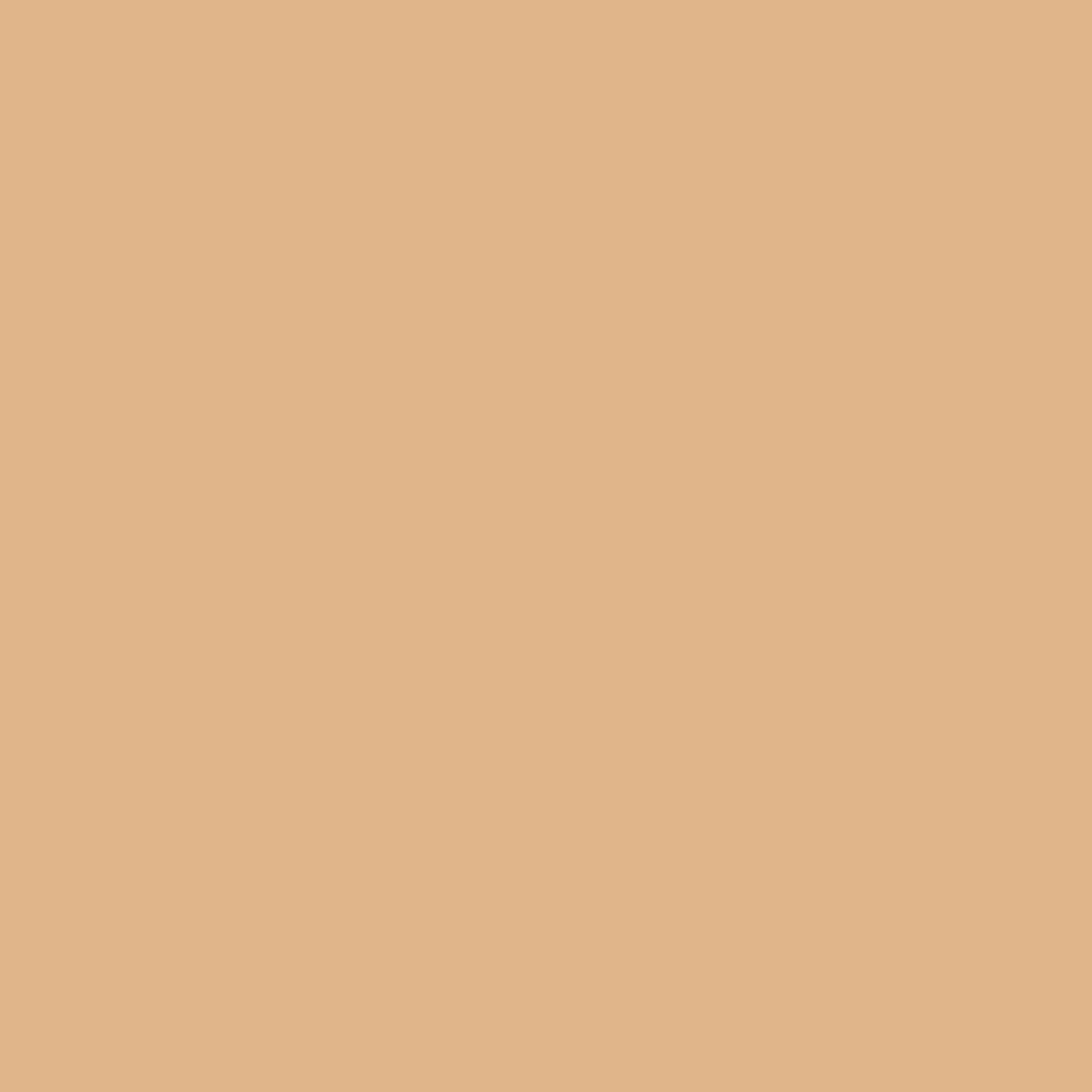 L'Oréal Paris True Match Caring Foundation 3N - Feuchtigkeitsspendende Deckkraft
