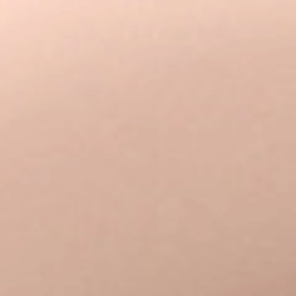 مرطب ملون بار فوكس فاتح من ويت إن وايلد Wet n Wild
