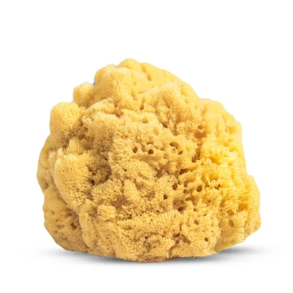 Natural Kids Baby And Child Bath Sponge