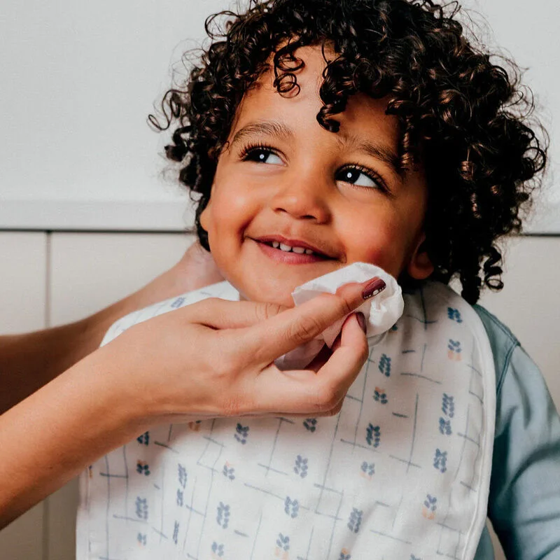 Schützen & Reinigen: Biolane Bio-Feuchttücher für Babyhaut