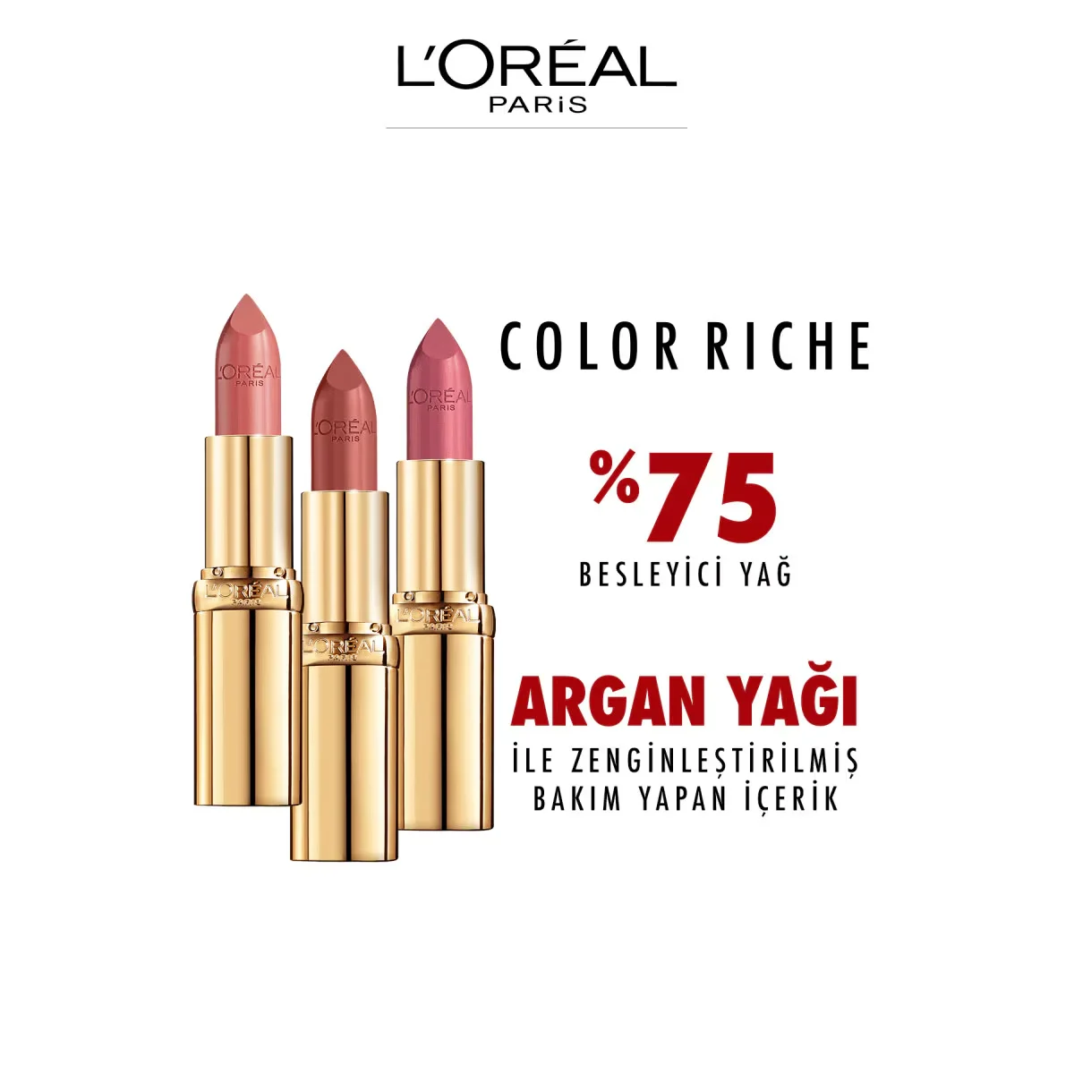 L'Oréal Paris Color Riche Lipstick No:110 Made in Paris 1 pcs