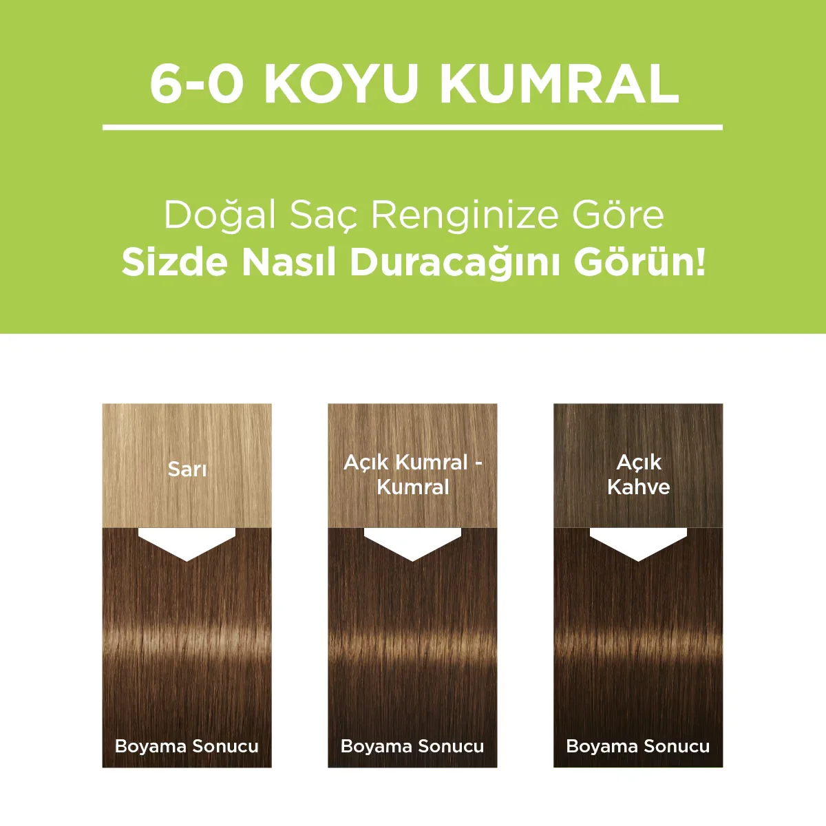 Palette Naturhaarfarbe Dunkelblond 6-0