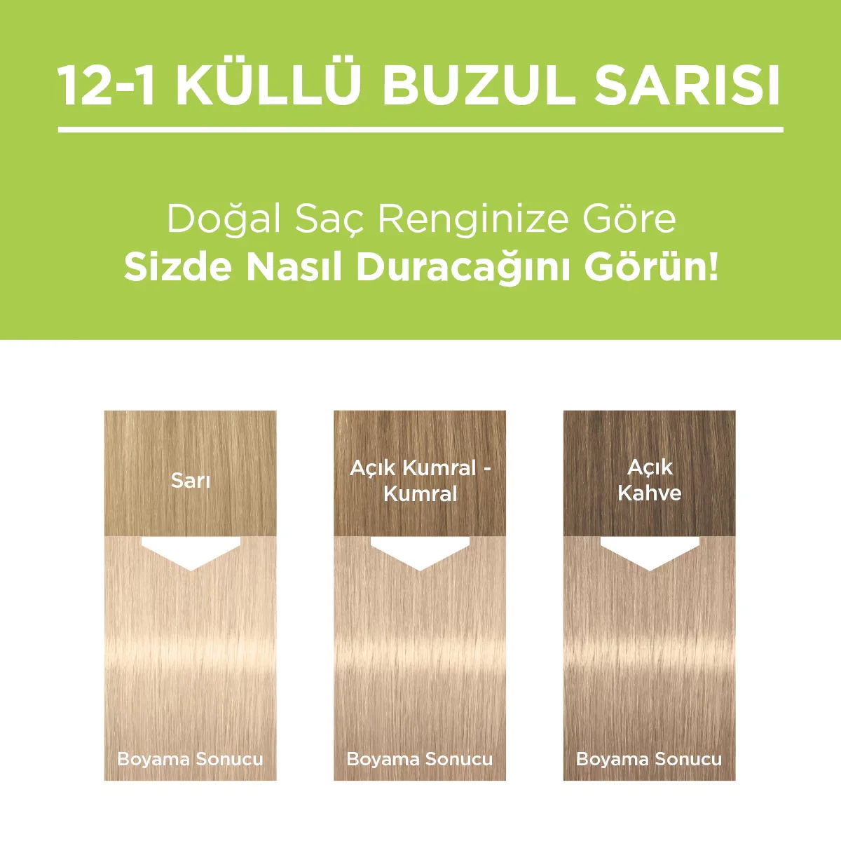 Palette Naturhaarfarbe 12-1 Asch-Gletscherblond
