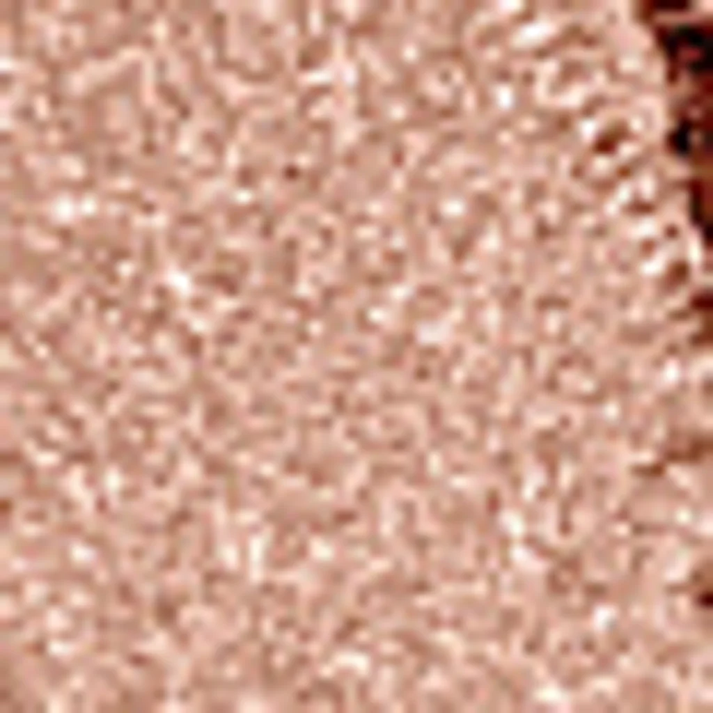Wet n Wild Color Icon Bronzer - Sunset Striptease E742B Sparkle
