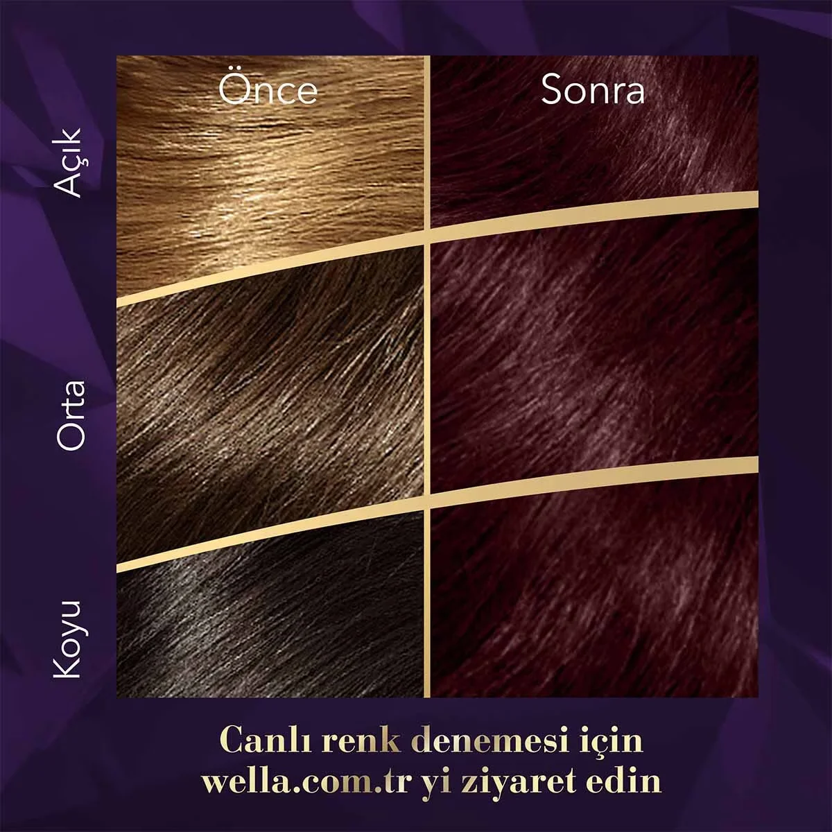 Wella Koleston Supreme Hair Dye 3/66 aubergine Purple