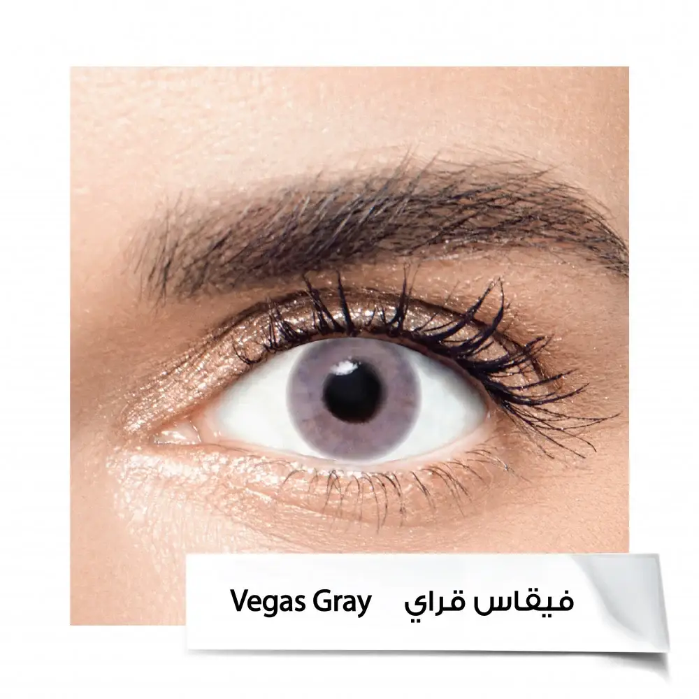 Anastasia 6-Month Contact Lenses VEGAS GRAY