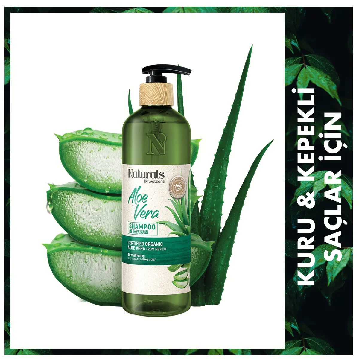 Naturals By Watsons Shampoo Aloe Vera 490 ml