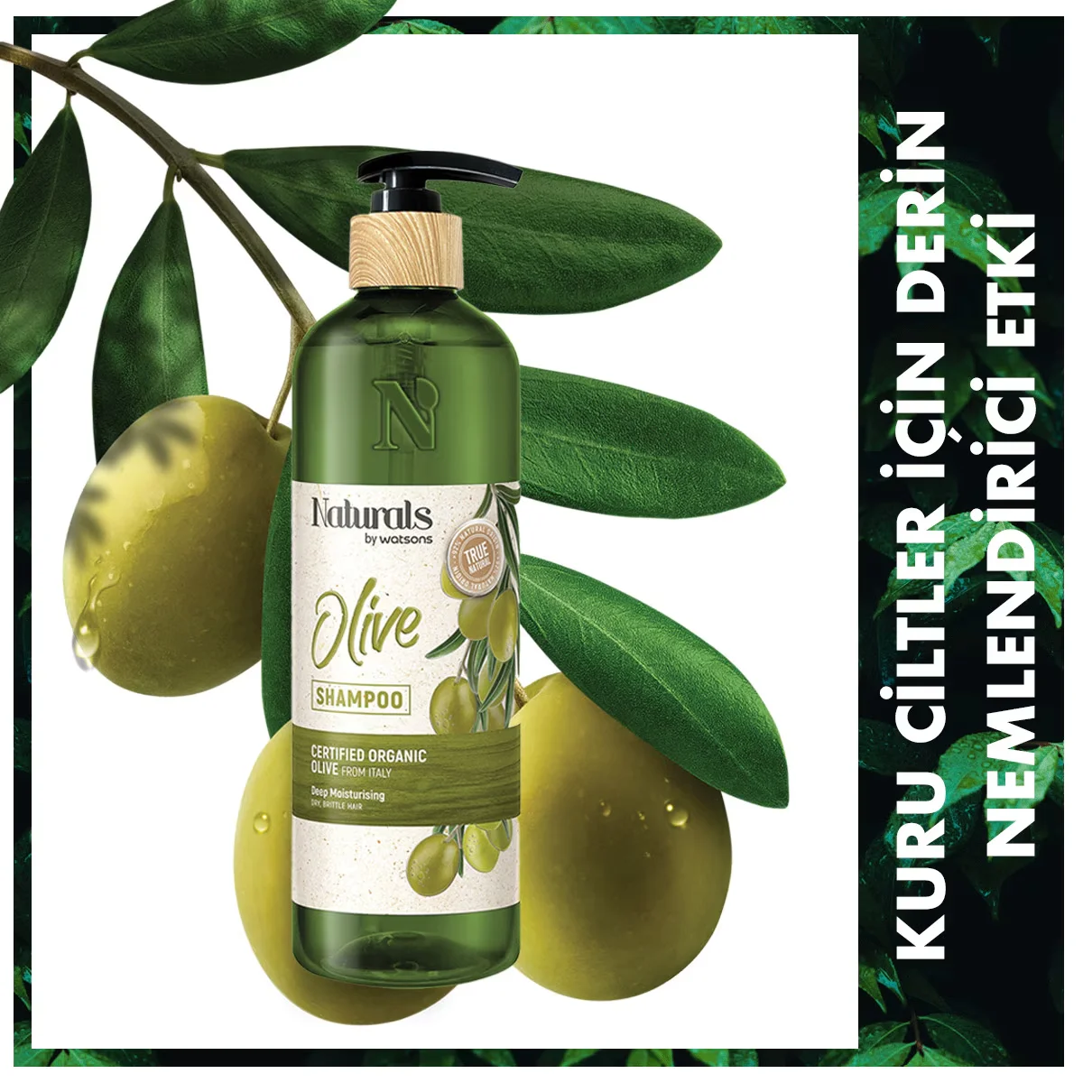 Naturals By Watsons Shampoo Olive 490 ml