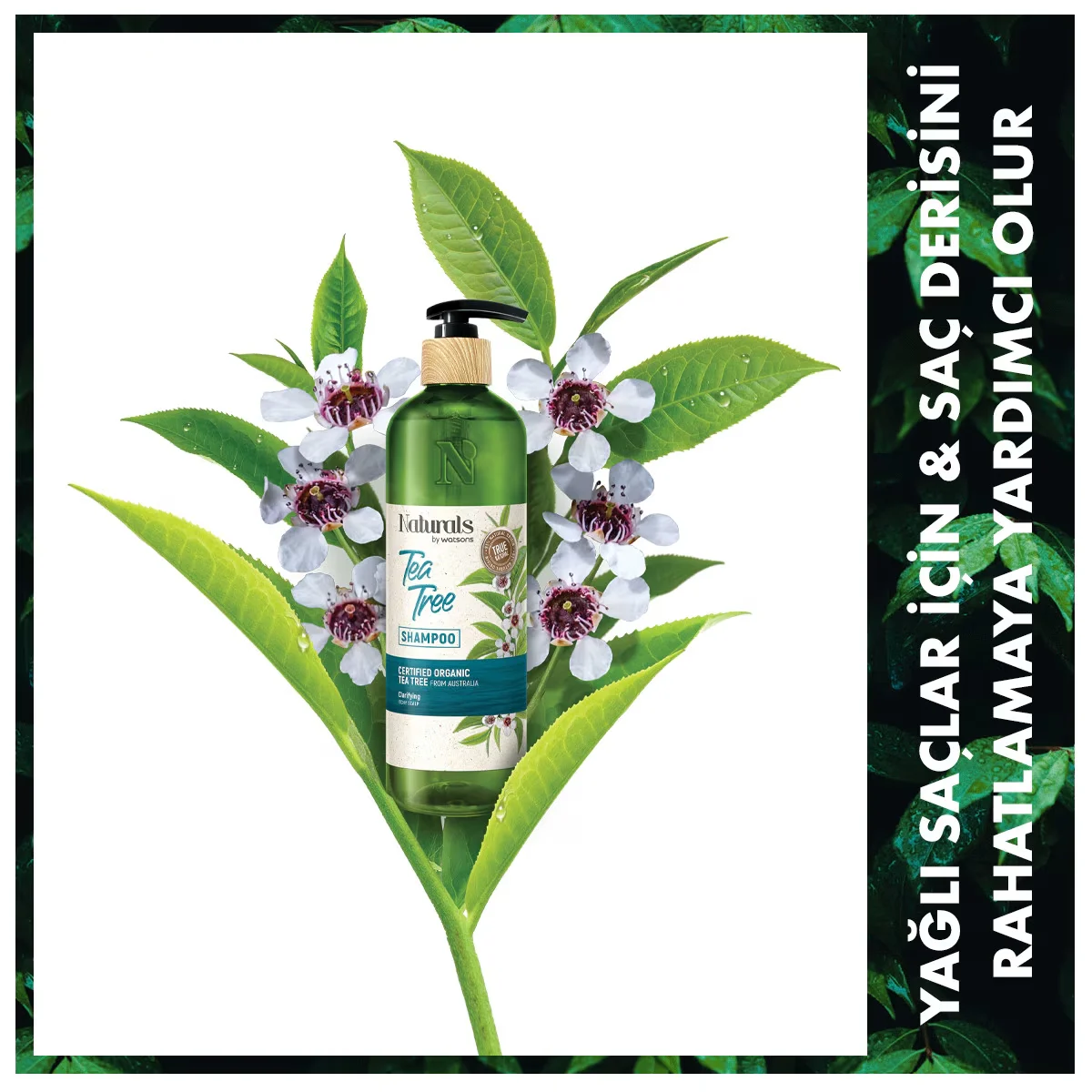 Naturals By Watsons Shampoo Tea Tree 490 ml