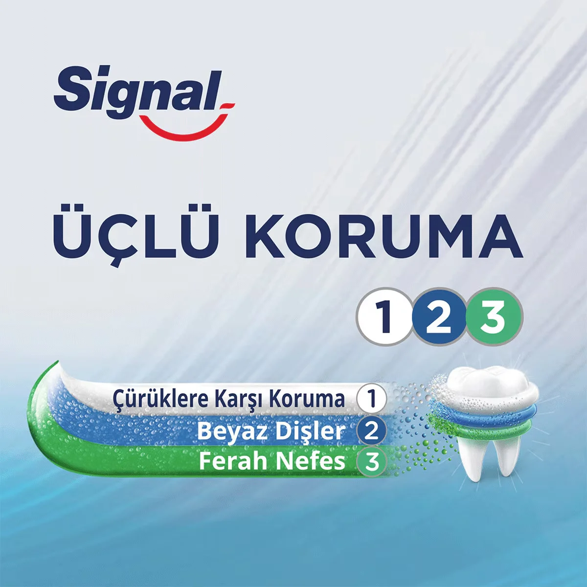Signal معجون أسنان سيجنال حماية ثلاثية 120 مل