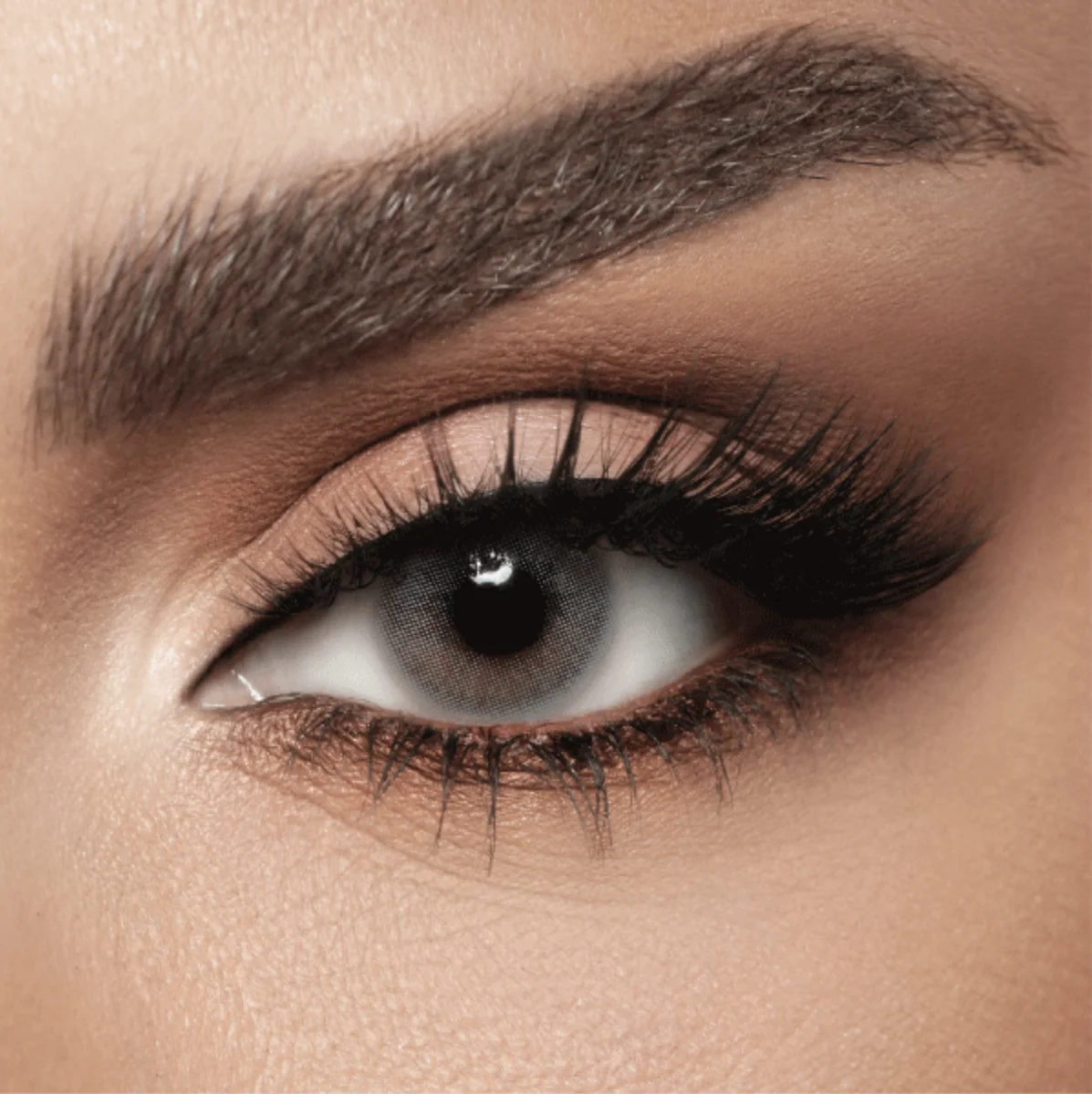 Navy Diva Lenses