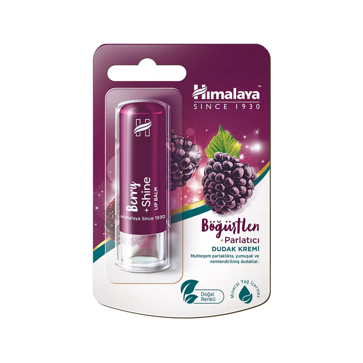 Himalaya كريم العناية بالشفاه من هيمالايا بالتوت الأسود 4.5 جرام