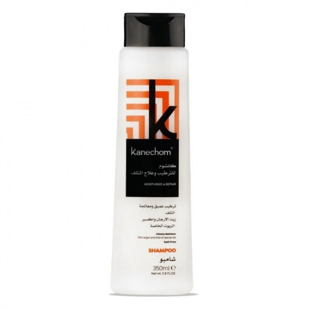 Argan Oil Shampoo for Dry and Damaged Hair by Kanchom 350 ml