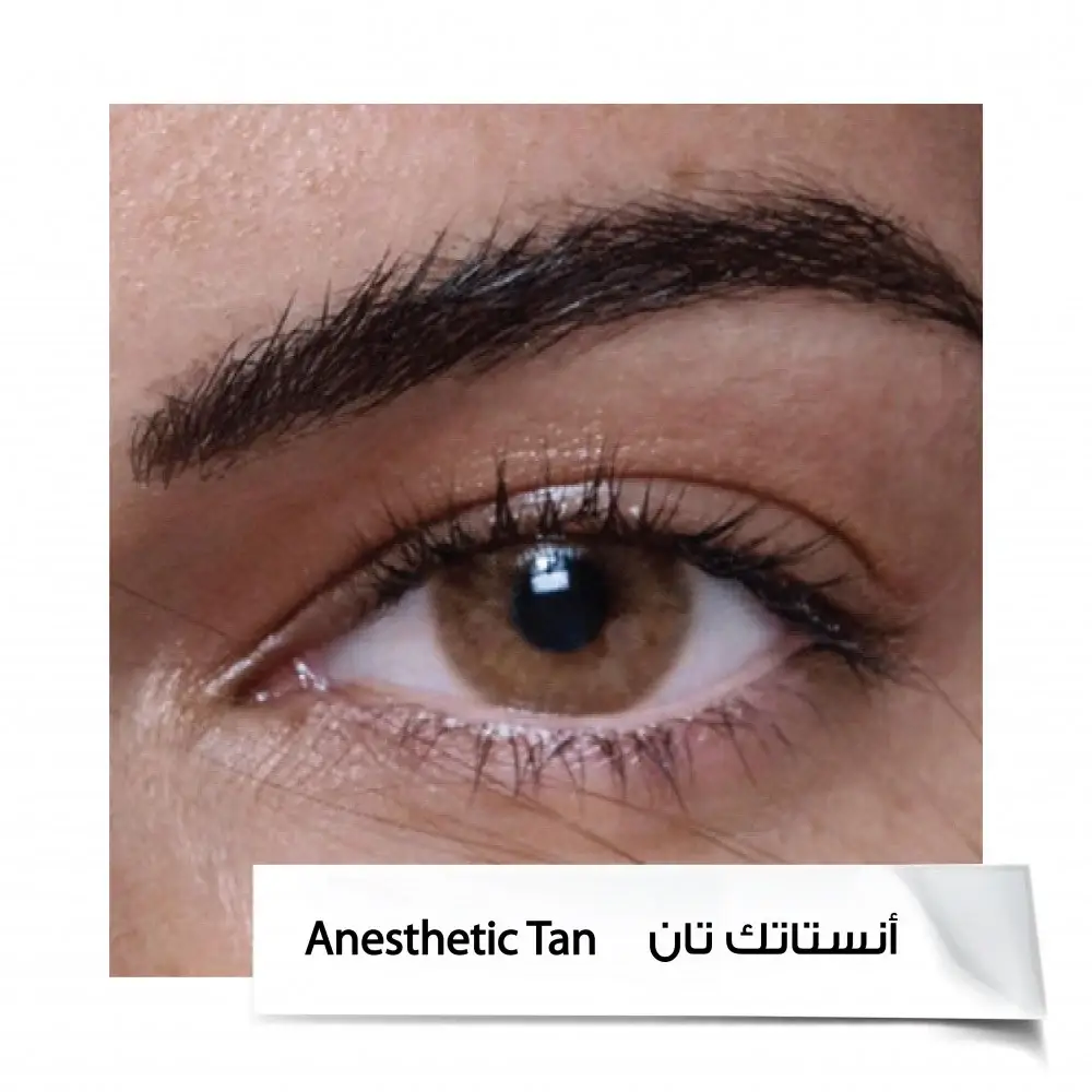 Anastasia Contact Lenses 6 Months A.TAN