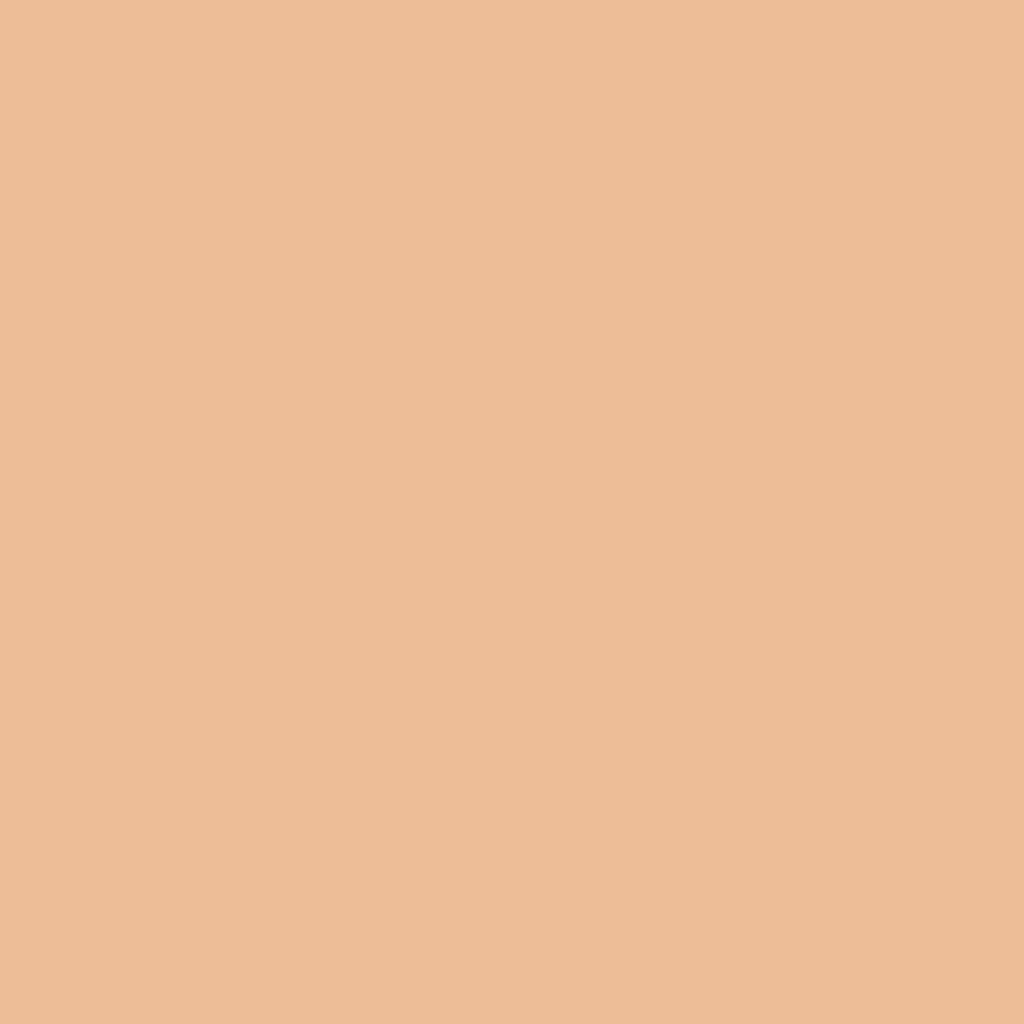 New Well Derma Cover Foundation 02 Bronze