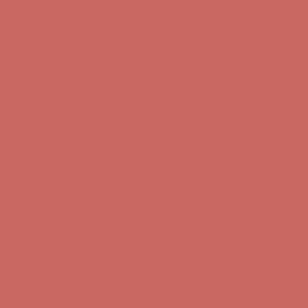 New Well Liquid Blusher Liquid Blush No:01
