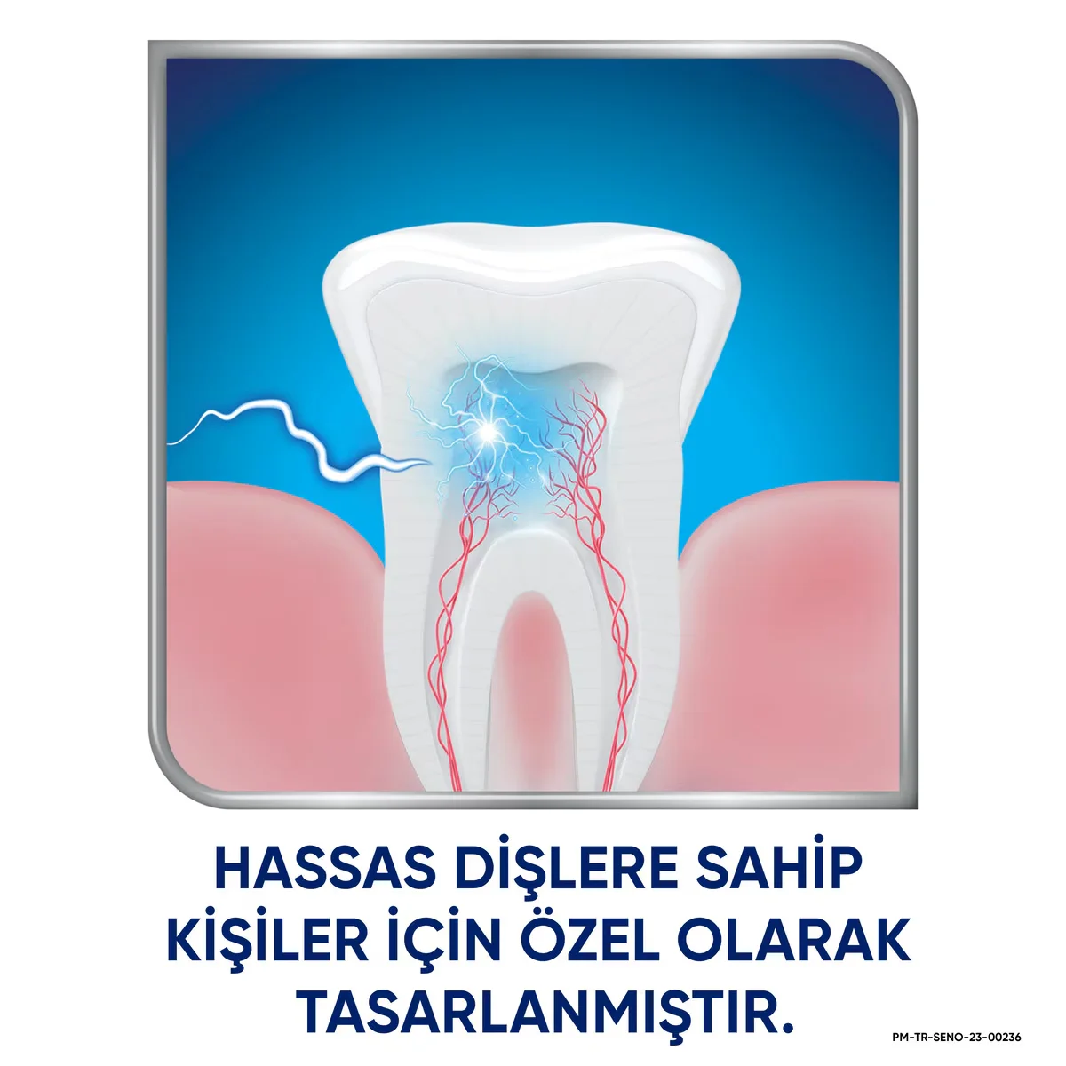 Sensodyne فرشاة أسنان سنسوداين لتنظيف الأسنان الحساسة، عبوة من قطعتين