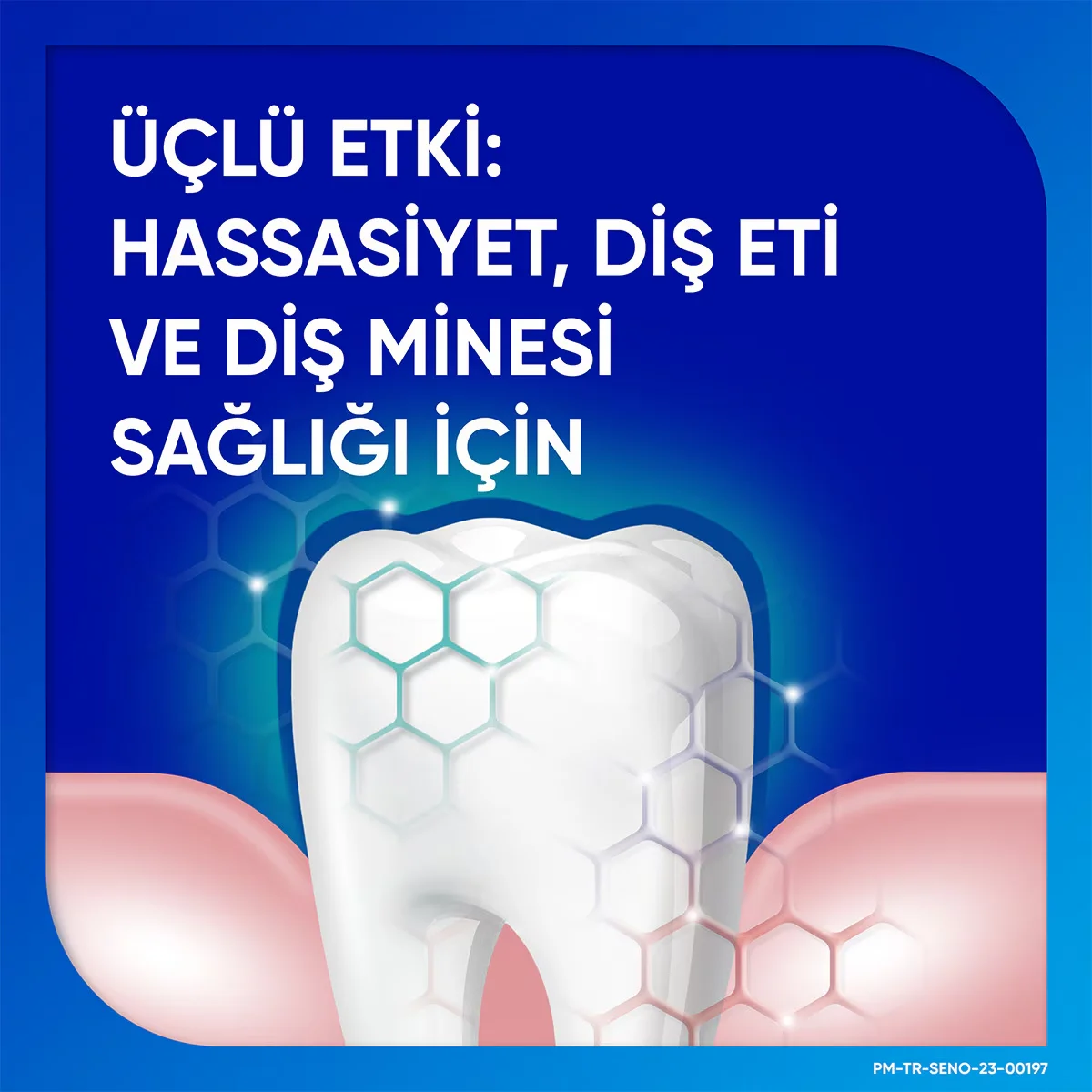 Sensodyne معجون أسنان سنسوداين بنكهة النعناع واللثة 75 مل