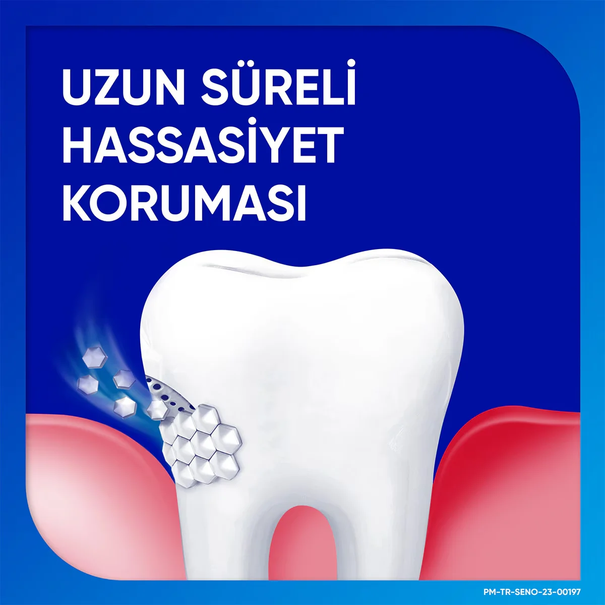 Sensodyne معجون أسنان سنسوداين بنكهة النعناع واللثة 75 مل