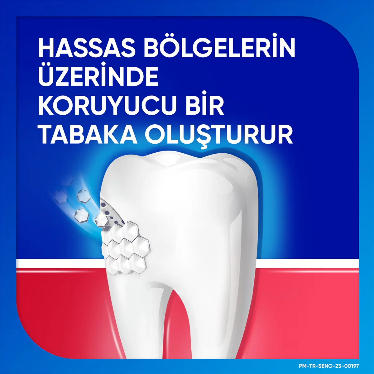 Sensodyne معجون أسنان سنسوداين بنكهة النعناع واللثة 75 مل