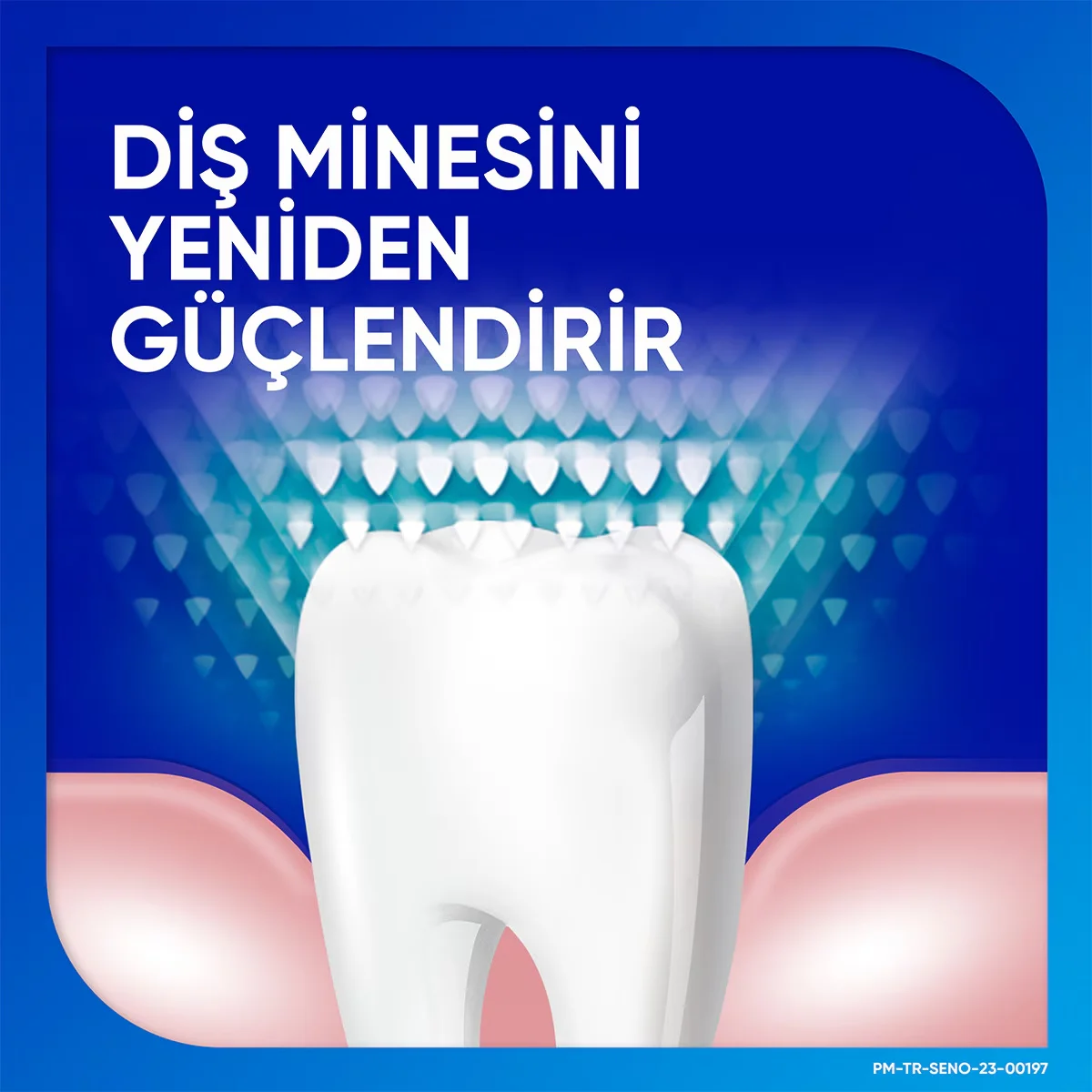 Sensodyne معجون أسنان سنسوداين بنكهة النعناع واللثة 75 مل