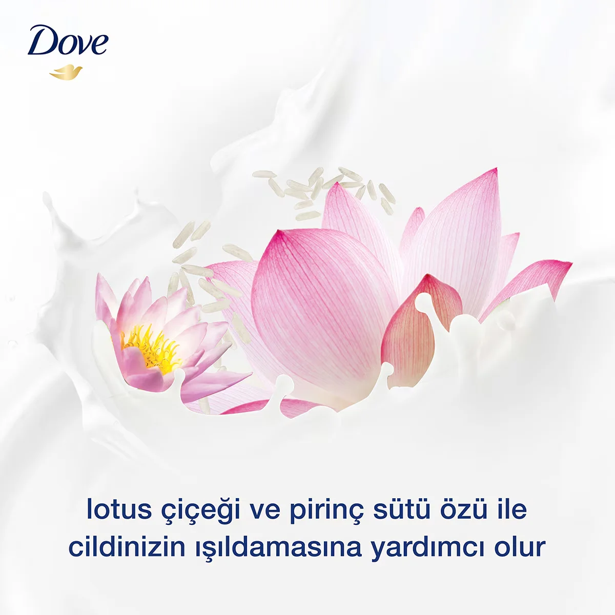 Dove Feuchtigkeitsspendende Flüssigseife mit Lotus- und Reismilch 450ml