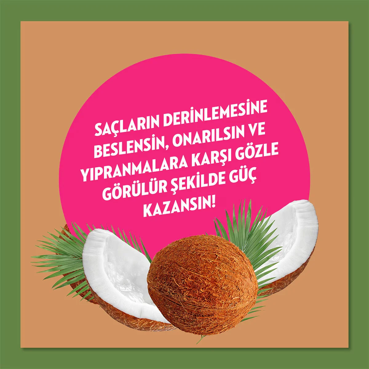Elidor Kokosnussöl Reparatur Shampoo - 92% Natürlich, 400ml