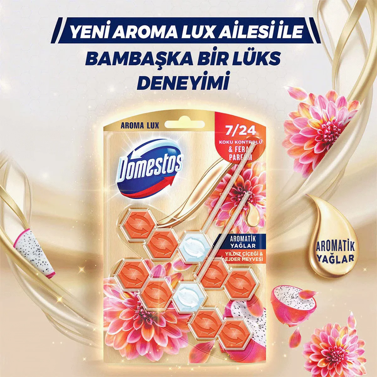 Domestos دومستوس منظف المرحاض أروما لوكس برائحة زهرة النجمة وفاكهة التنين 2 × 50 جرام