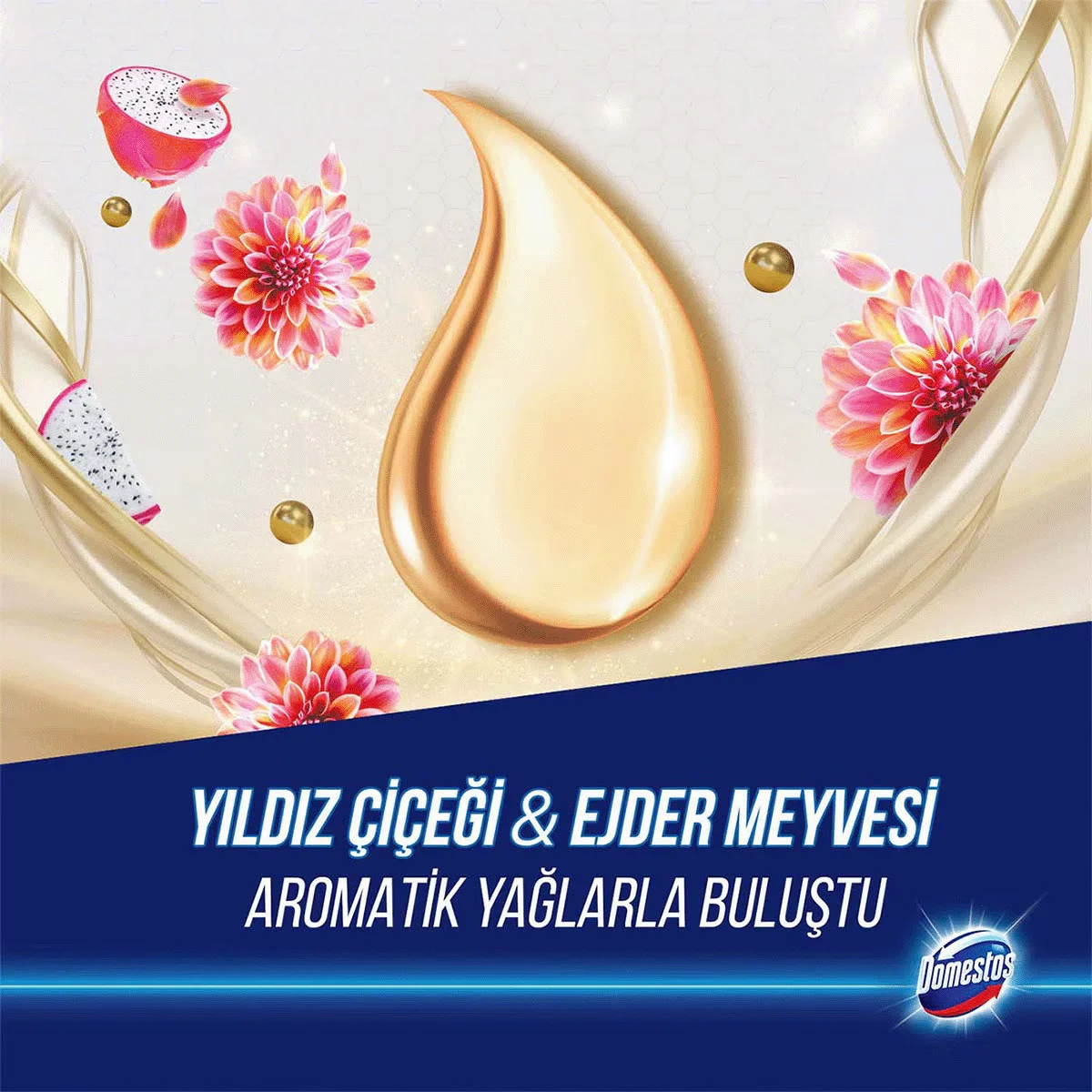 Domestos دومستوس منظف المرحاض أروما لوكس برائحة زهرة النجمة وفاكهة التنين 2 × 50 جرام