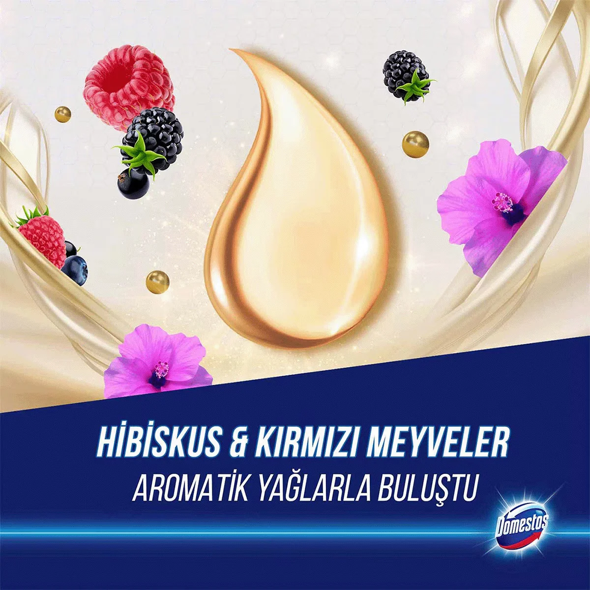 Domestos Aroma Lux Toilettenblock Hibiskus &amp; Rote Früchte 100g