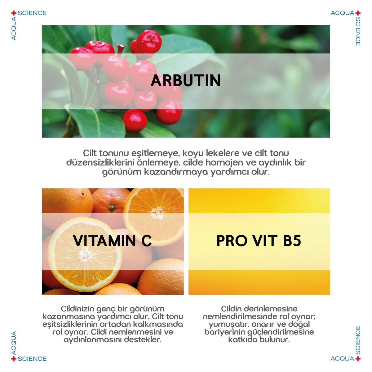 Acqua Perfection Vitamin C Serum