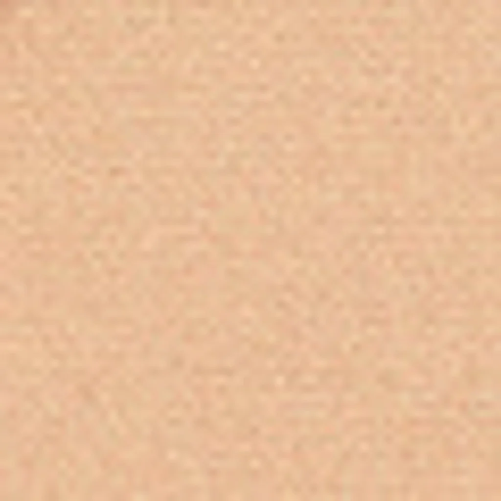 Pastel Profashion Fixing Powder 01