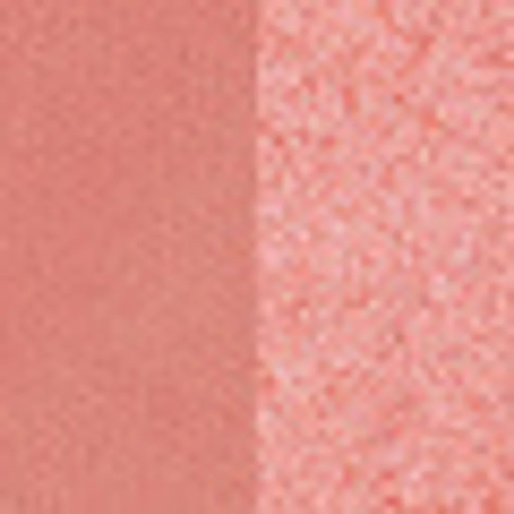 Pastel Profashion Duo Blush Set Cheek To Cheek 10 hot Pink