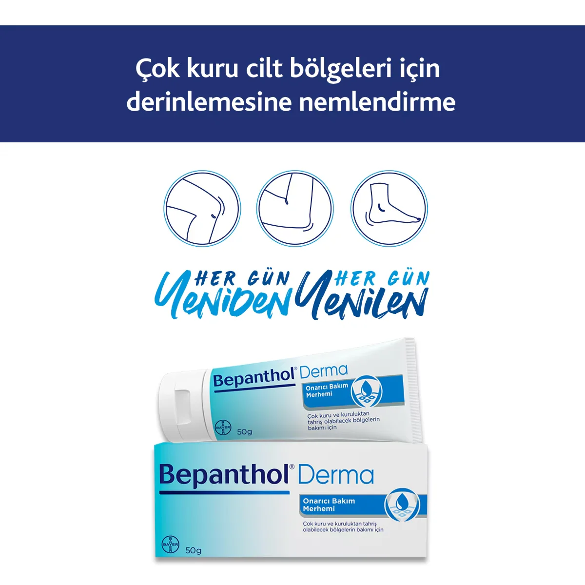 Bepanthol Derma Reparaturset: Salbe &amp; Hautcreme 50g