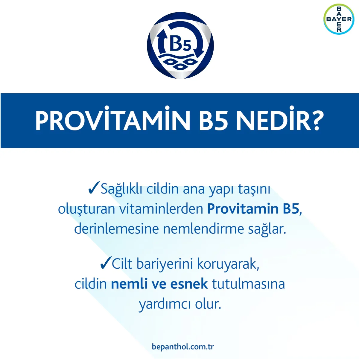 Bepanthol Derma Skin Care Cream 50 g