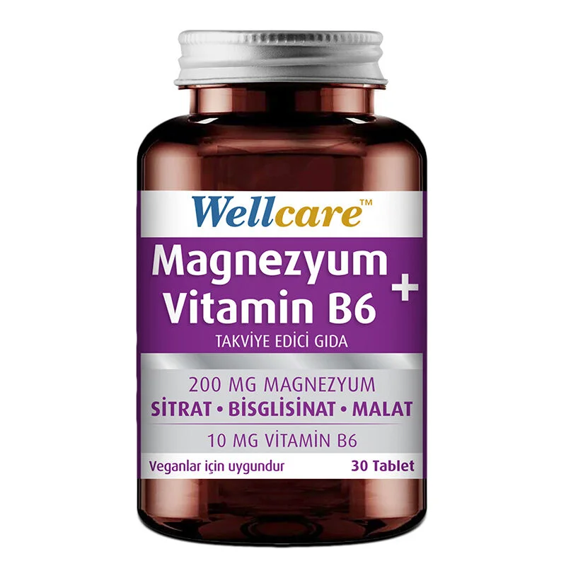 Wellcare Magnesium + Vitamin B6 30 Tabletten