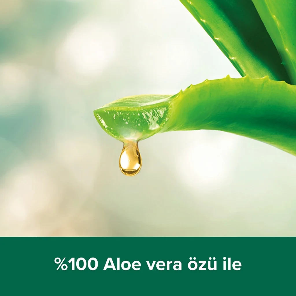 Palmolive جل الاستحمام بالطين المعالج بالأعشاب من بالموليف، 500 مل