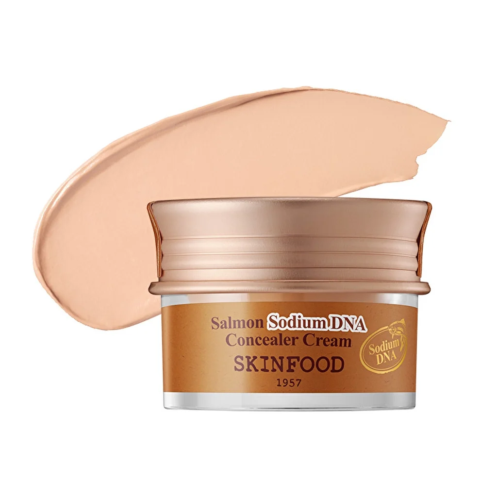 Skinfood Salmon Sodium Dna Concealer No.1 vanilla