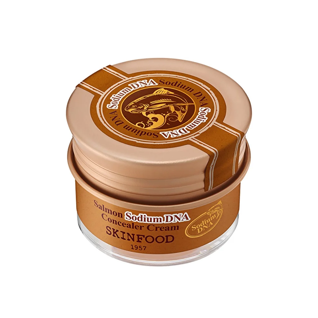 Skinfood Lachs-Natrium-DNA Concealer Nr. 1 - Aufhellende Feuchtigkeit