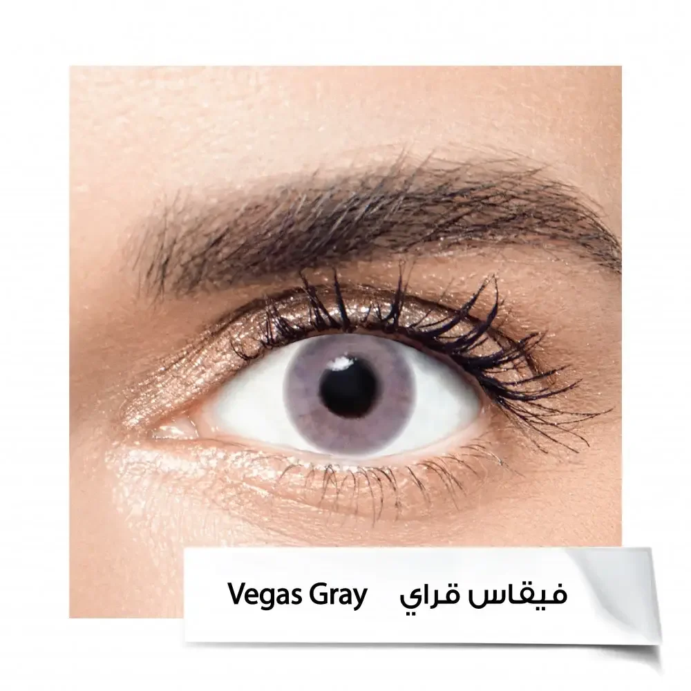 Anastasia 6-Month Contact Lenses VEGAS GRAY