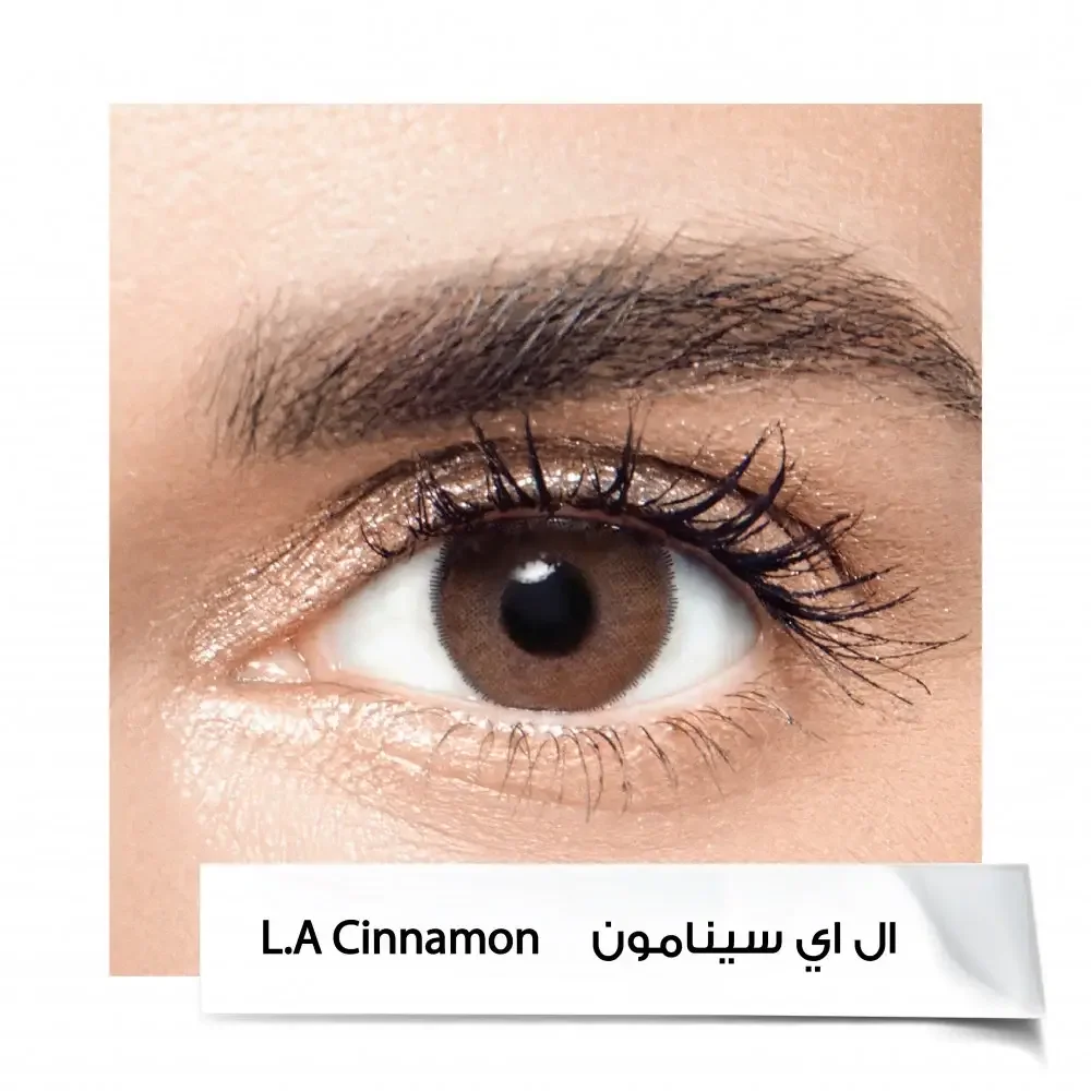 Anastasia Lenses 6 Months LA CINNAMON