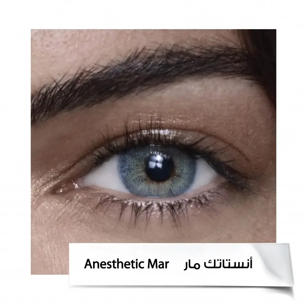 Anastasia 6-Month Contact Lenses A.MAR