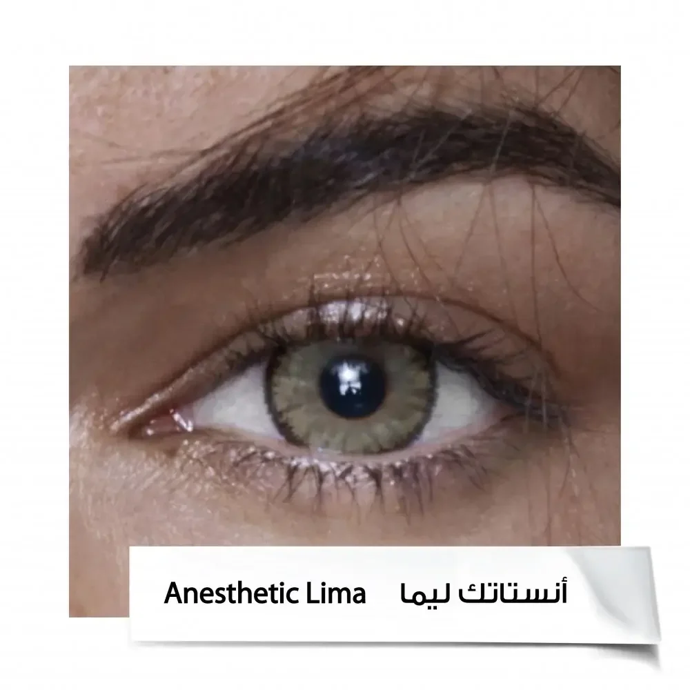Anastasia 6-Month Lenses A.LIMA