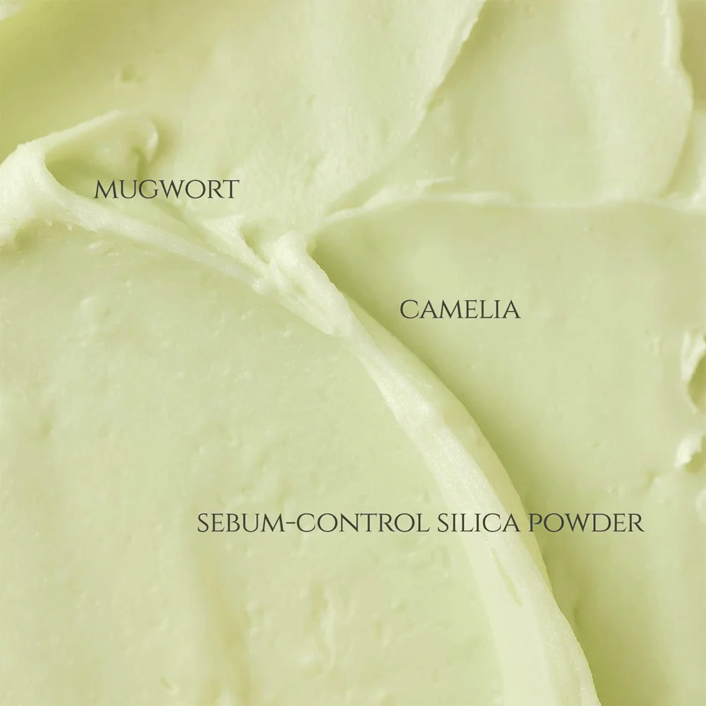 Beauty Of Joseon Mugwort &amp; Camellia Matte Stick Sunscreen Spf 50 18 g