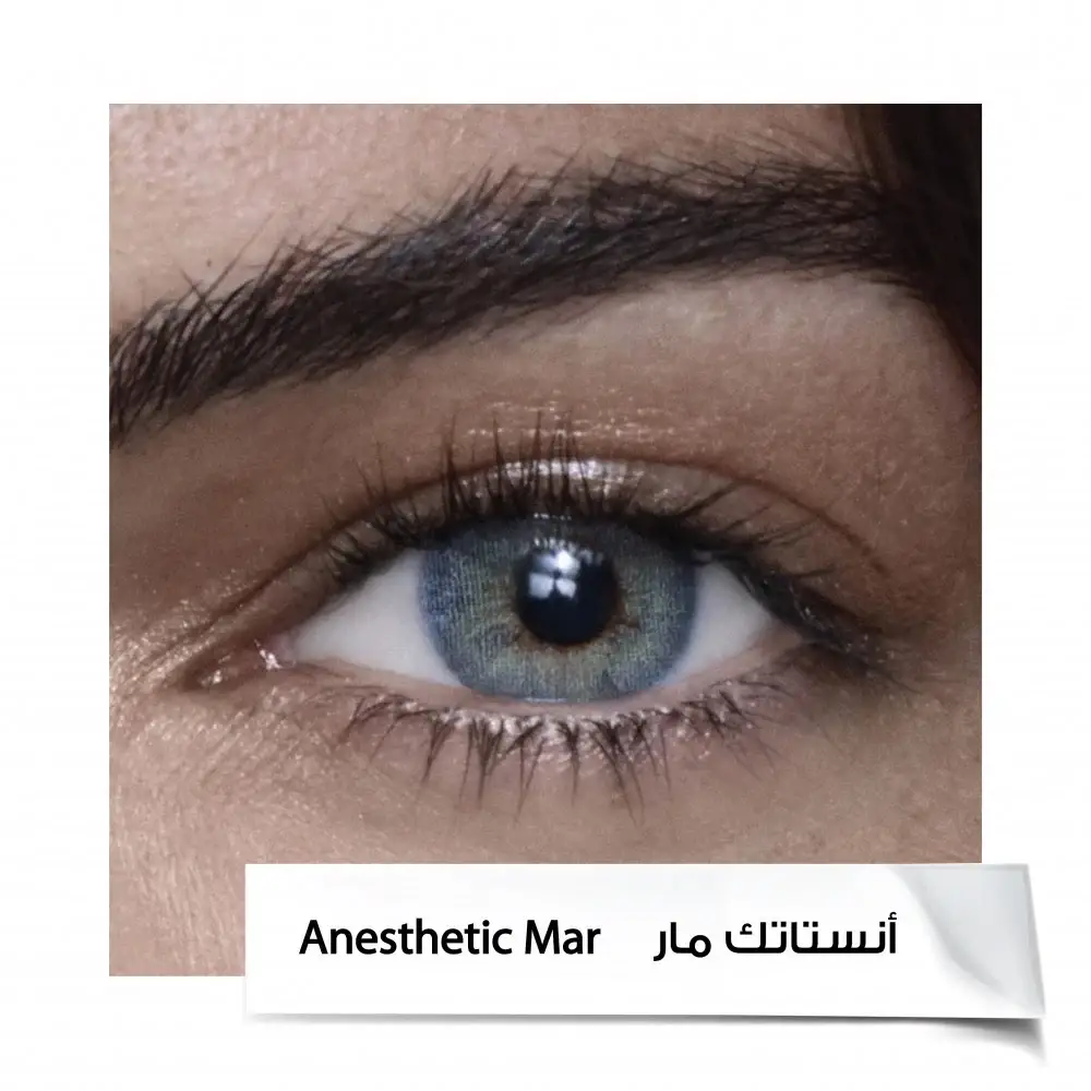 Anastasia 6-Month Contact Lenses A.MAR