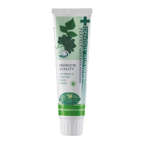 Dentiste Plus White Before Sleep Toothpaste 100 gr.