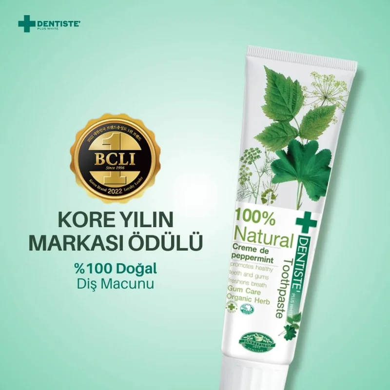 Dentiste Natural Toothpaste 100 g