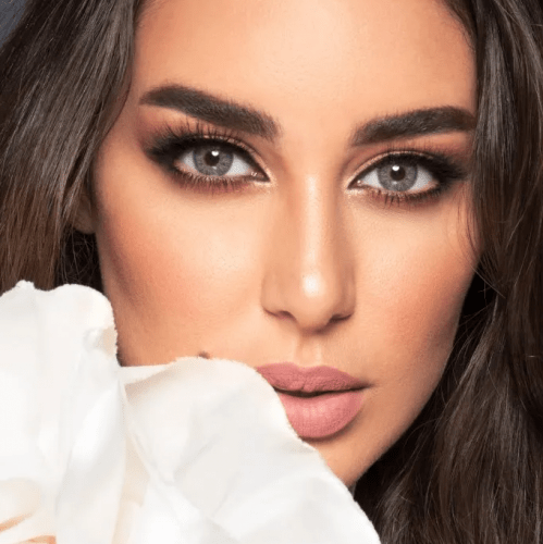 Lens Me Colored Contacts - Gray