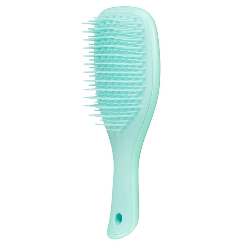 Tangle Teezer Detangling Mini Hairbrush Mint Hair Brush