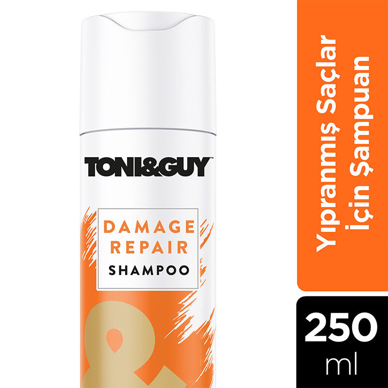 Toni Guy شامبو توني جاي للشعر الجاف والتالف 250 مل